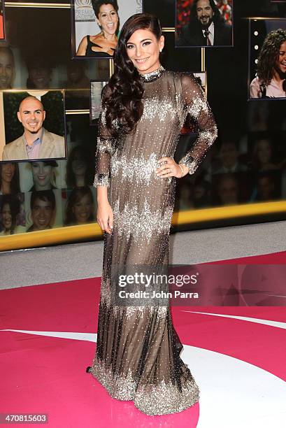 Ana Brenda Contreras attends Premio Lo Nuestro a la Musica Latina 2014 at American Airlines Arena on February 20, 2014 in Miami, Florida.