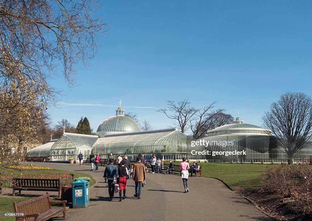 People in Glasgow's Botanic Gardens