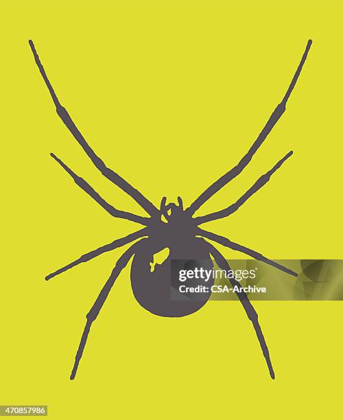 1,422 Spider Line Stock Photos, High-Res Pictures, and Images - Getty ...