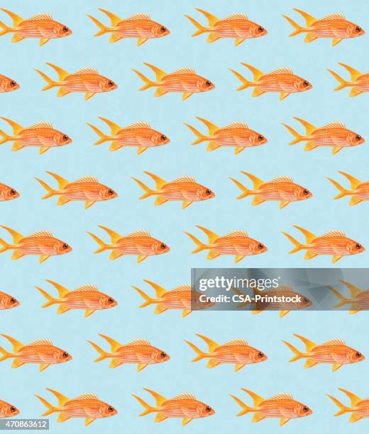 Gold Fish Pattern Photos and Premium High Res Pictures - Getty Images