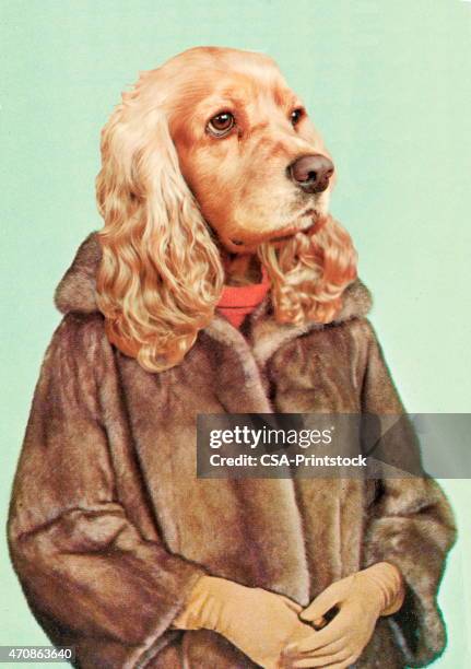 women with dog head - cocker spaniel stock illustrations