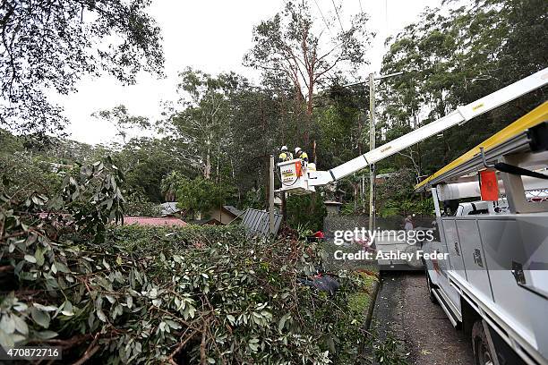 Clean up in North Avoca to fix power lines continues on April 24, 2015 in Gosford, Australia. Gosford City and Wyong shire have official been...