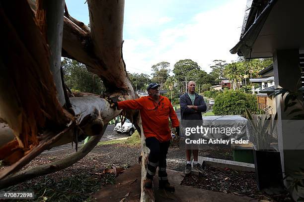 Property in North Avoca inspected after tree damage from the storm on April 24, 2015 in Gosford, Australia. Gosford City and Wyong shire have...