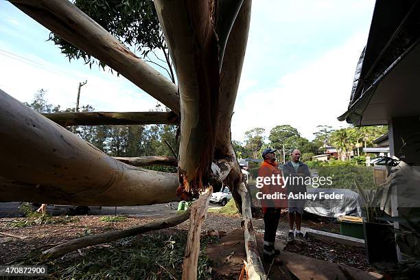 Property in North Avoca inspected after tree damage from the storm on April 24, 2015 in Gosford, Australia. Gosford City and Wyong shire have...