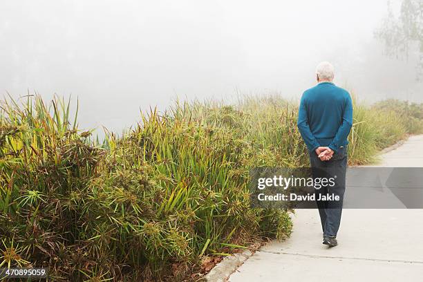 senior man strolling in the park - hands behind back stockfoto's en -beelden