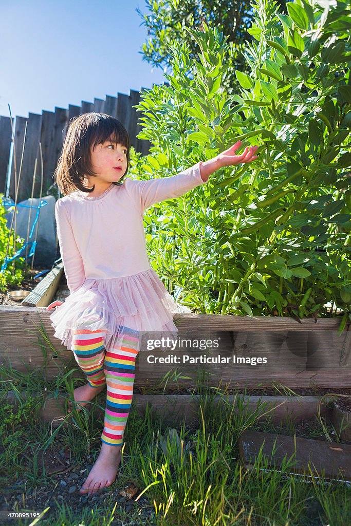 Girl in fava bean garden