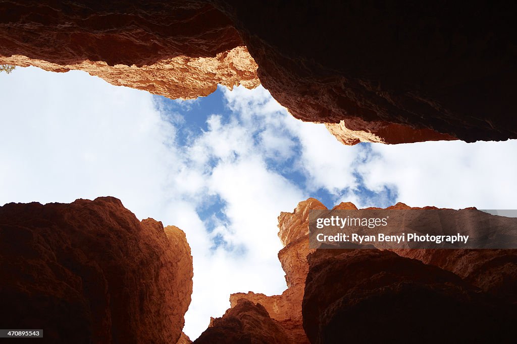 Looking up from Navajo Loop, Bryce Canyon National Park, Utah, USA