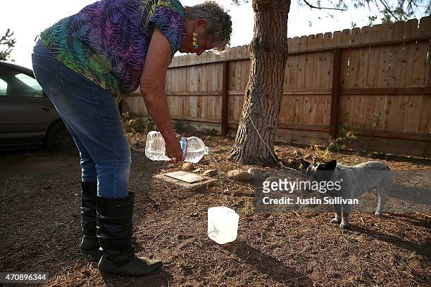 Donna Johnson pours water into a dog's bowl on April 23, 2015 in Porterville, California. Over 300 homes in the California central valley city of...