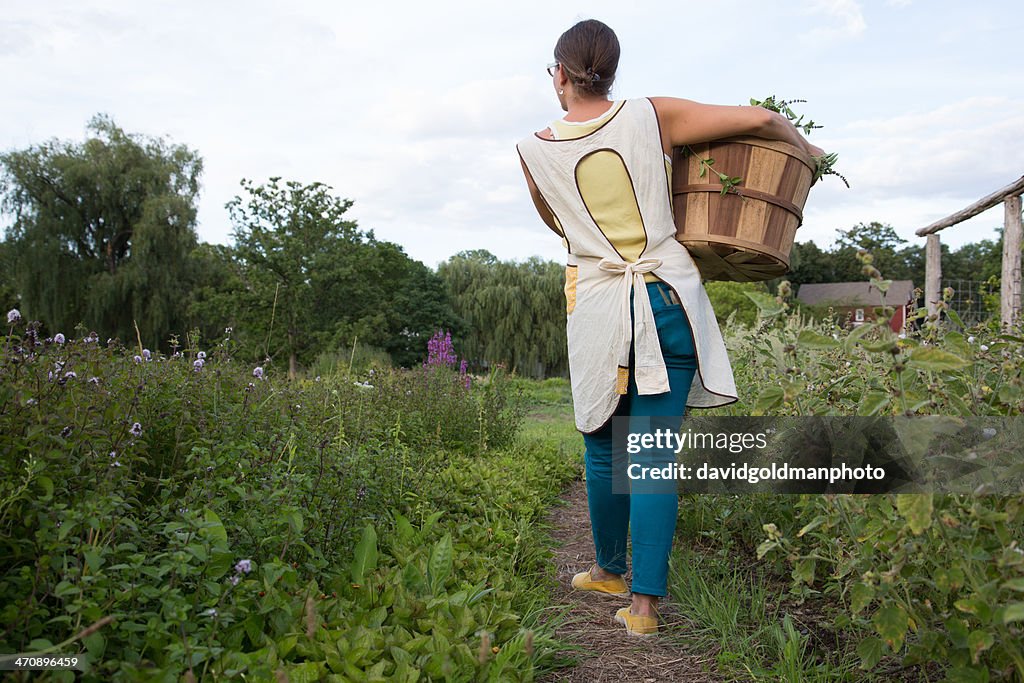 Woman carrying basket of plants on family herb farm
