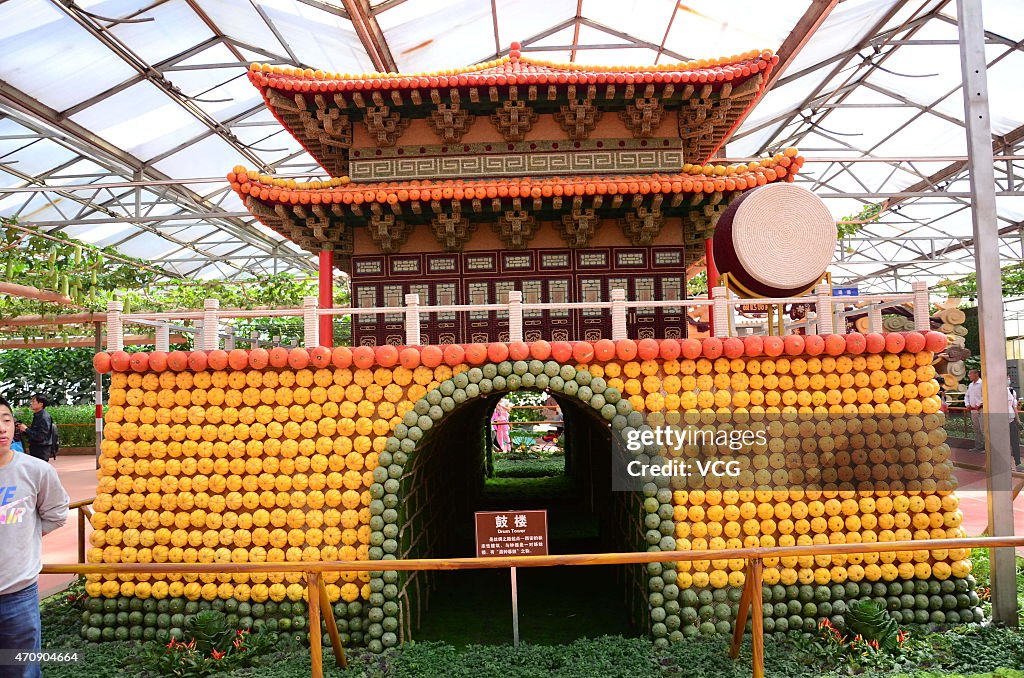 Various Ancient Resorts Show On Shandong's Vegetable Sci-Tech Fair