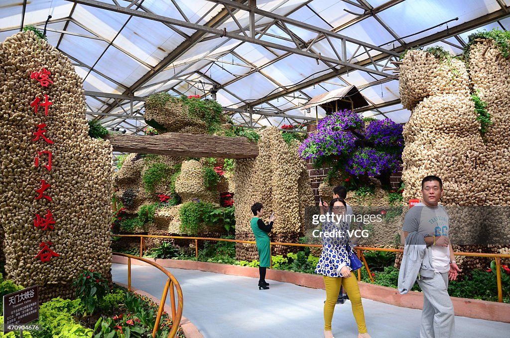 Various Ancient Resorts Show On Shandong's Vegetable Sci-Tech Fair