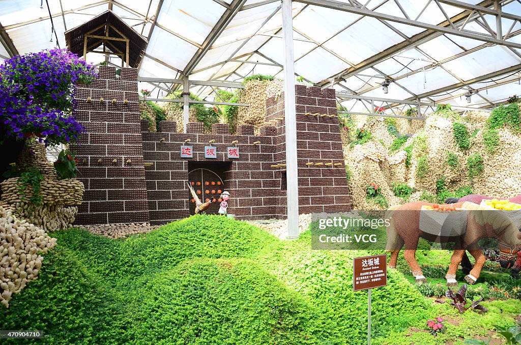 Various Ancient Resorts Show On Shandong's Vegetable Sci-Tech Fair
