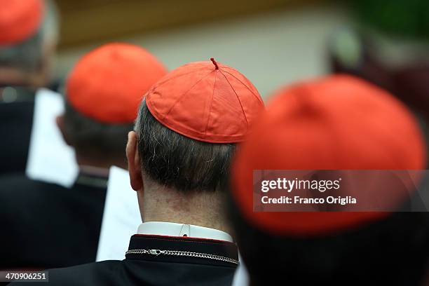 Cardinals attend the morning session of Extraordinary Consistory on the themes of Family at the Synod Hall on February 21, 2014 in Vatican City,...