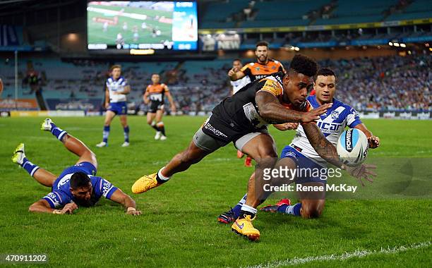Kevin Naiqama of the Tigers keeps the ball in play for James Tedesco to score during the round eight NRL match between the Canterbury Bulldogs and...