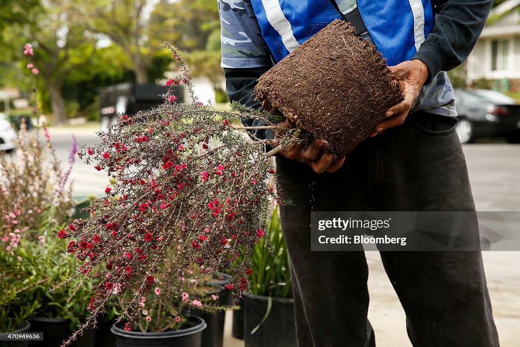 California's Drought Gives Rise To High-End Landscape Design