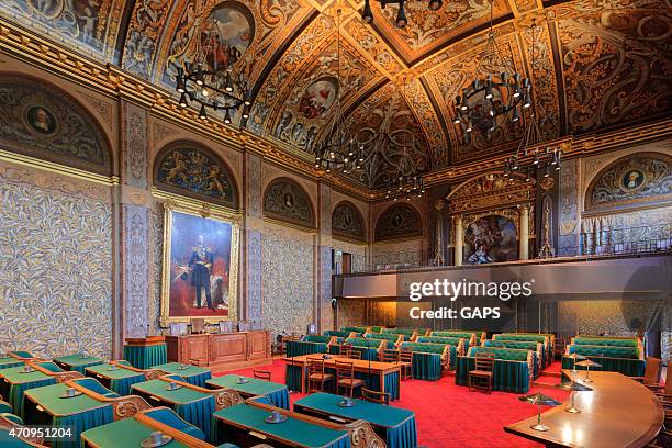 interior of the dutch first chamber - binnenhof stock pictures, royalty-free photos & images