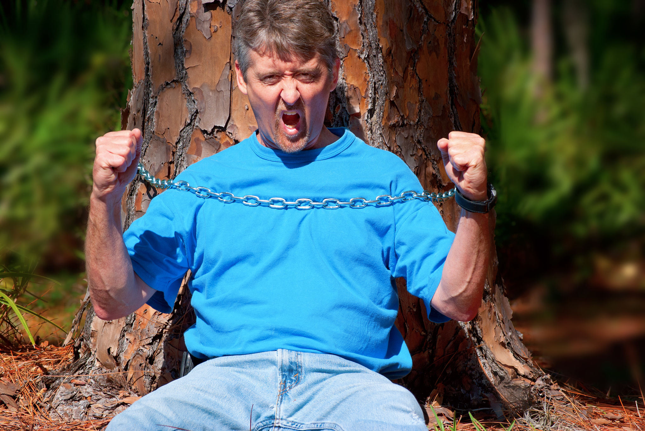consulting arborist