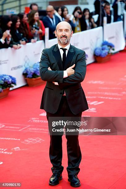 Javier Camara attends 'Aprendiendo a Conducir' premiere during the 18th Malaga Spanish Film Festival at Cervantes Theater on April 24, 2015 in...