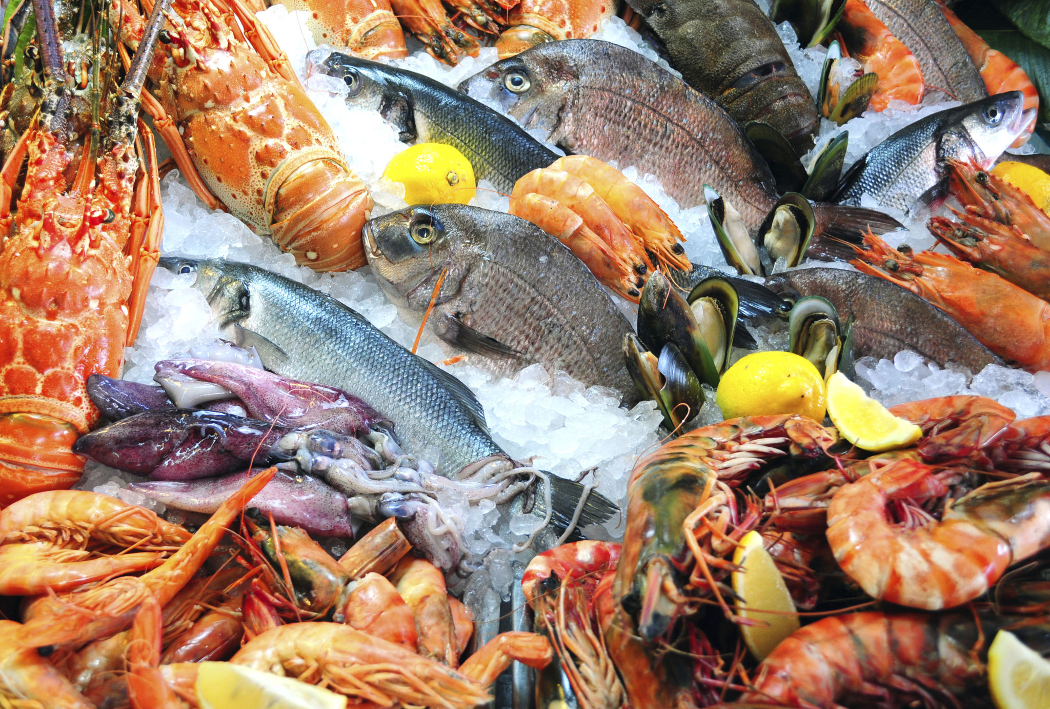 fresh seafood market