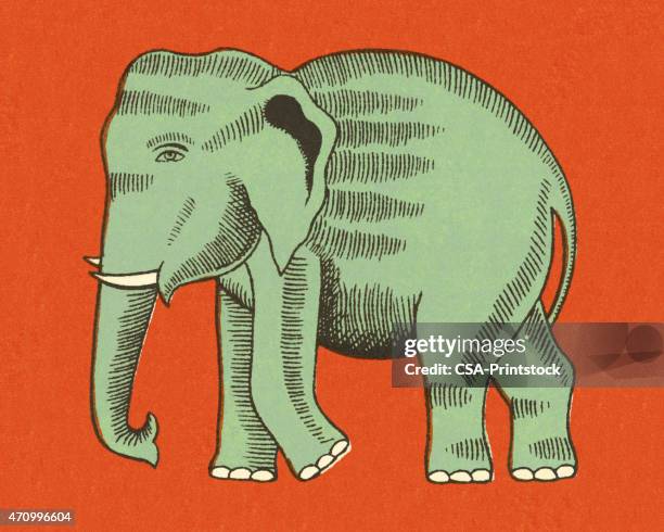 elephant - elephant stock illustrations