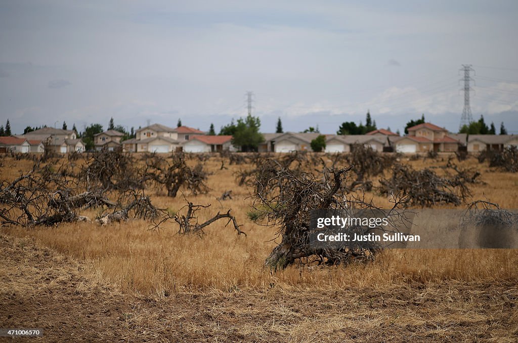 California's Central Valley Heavily Impacted By Severe Drought