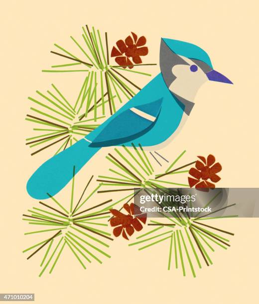 blue jay sitting on branch - blue jay stock illustrations