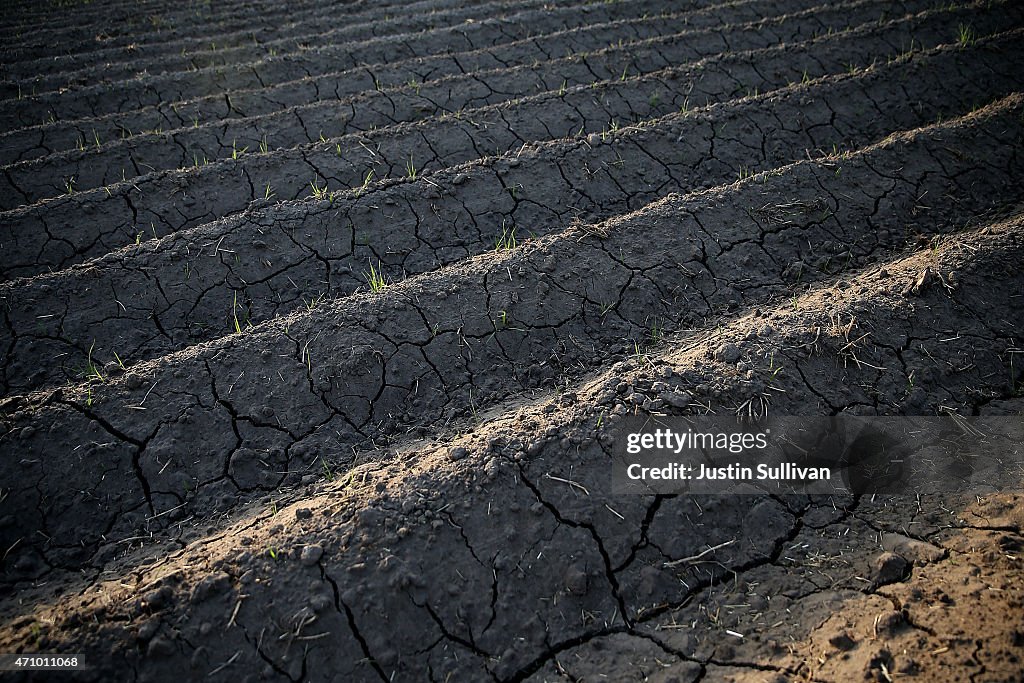 California's Central Valley Heavily Impacted By Severe Drought