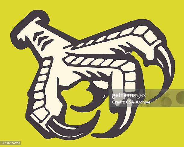 bird claw - talon stock illustrations