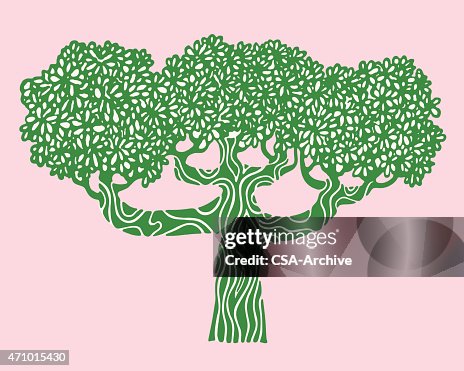 Large Tree Large Tree