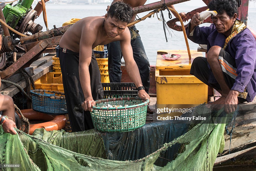 Fishermen load fish on a boat at the mouth of the Java Sea...