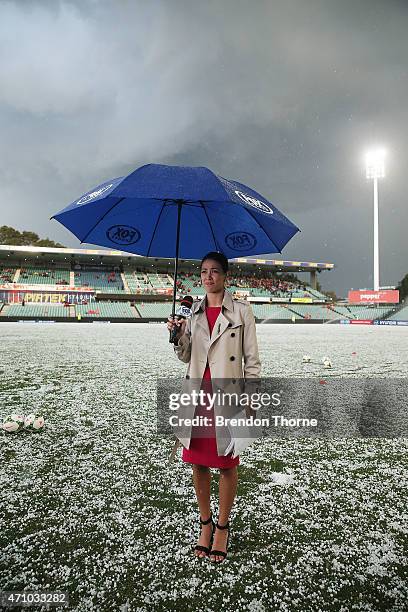 Fox Sports presenter, Tara Rushton stands on a hail stone covered Pirtek Stadium prior to kick off for the round 27 A-League match between the...