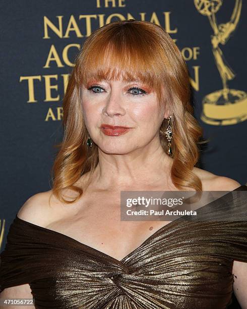 Actress Andrea Evans attends the 42nd Annual Daytime Creative Arts Emmy Awards at The Universal Hilton Hotel on April 24, 2015 in Universal City,...