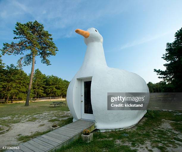 long island's big duck - the hamptons stock pictures, royalty-free photos & images