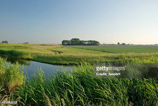 scena polder olandese - olanda settentrionale foto e immagini stock