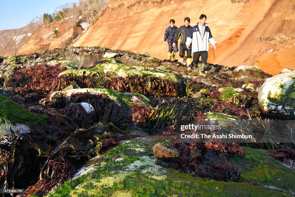 Unexplained Coastline Expansion in Eastern Hokkaido Baffle Locals