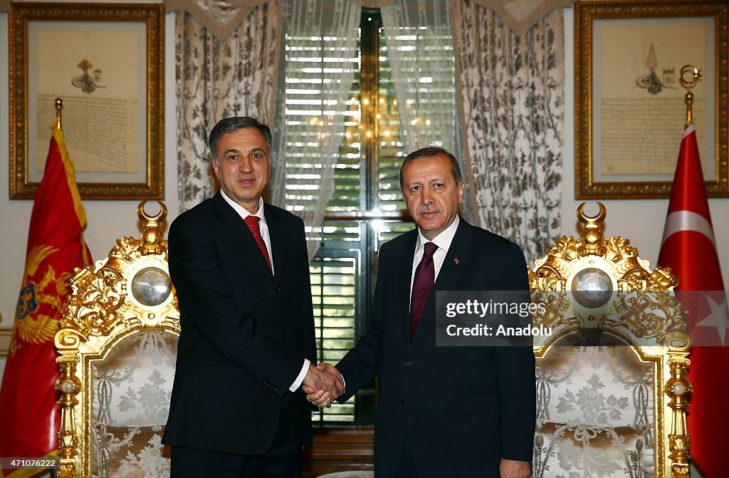 Turkey's President Erdogan meets with President of Montenegro Vujanovic
