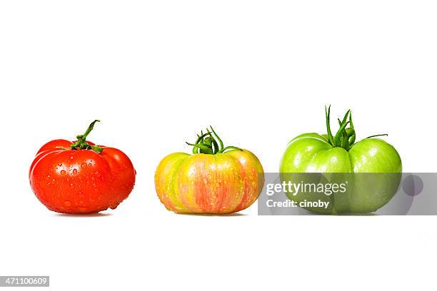 color tomatoes - unripe stock pictures, royalty-free photos & images