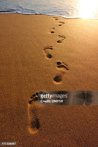 footprints - fußabdruck stock-fotos und bilder