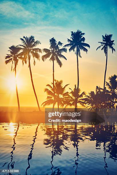 belo pôr do sol com árvores de palma em backwaters de kerala - canal interior imagens e fotografias de stock