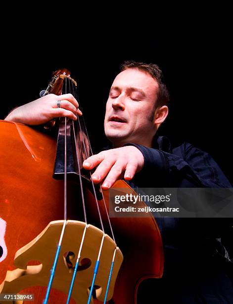 playing the double bass - double bass stock pictures, royalty-free photos & images