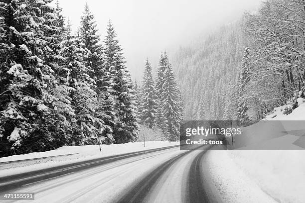 glacée road - route sapin neige photos et images de collection