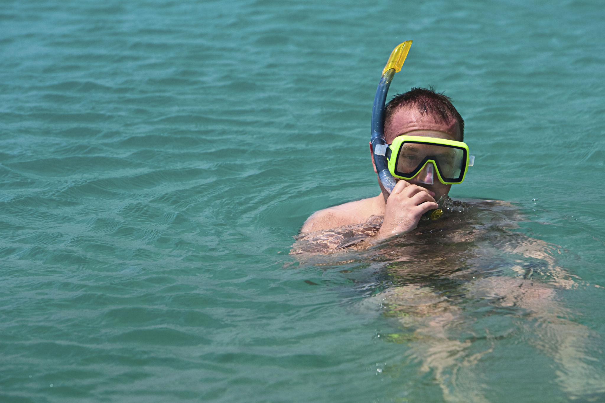 cabo pulmo snorkeling