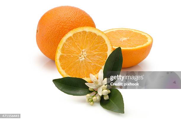 navel oranges - navel orange stockfoto's en -beelden