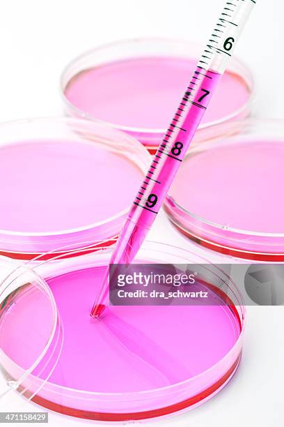 stem cells research - genetic screening stock pictures, royalty-free photos & images