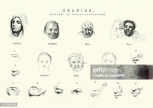 illustrations, cliparts, dessins animés et icônes de anatomie d'expressions du visage - facial expression (disgust)