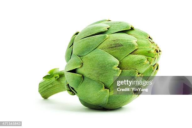 alcachofra de vegetais fresca com verde edível coração, isolado a branco - alcachofra imagens e fotografias de stock