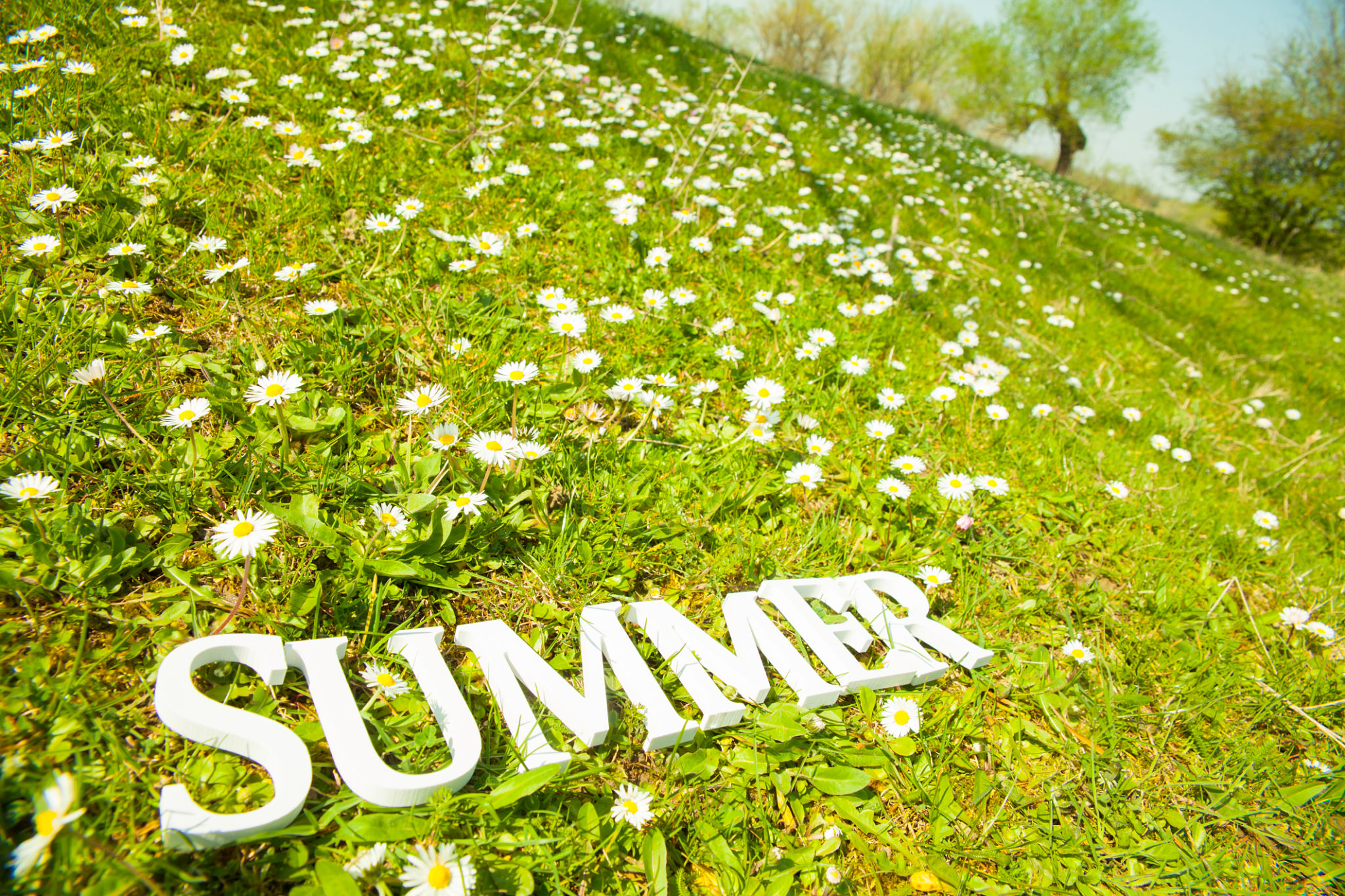 spring summer