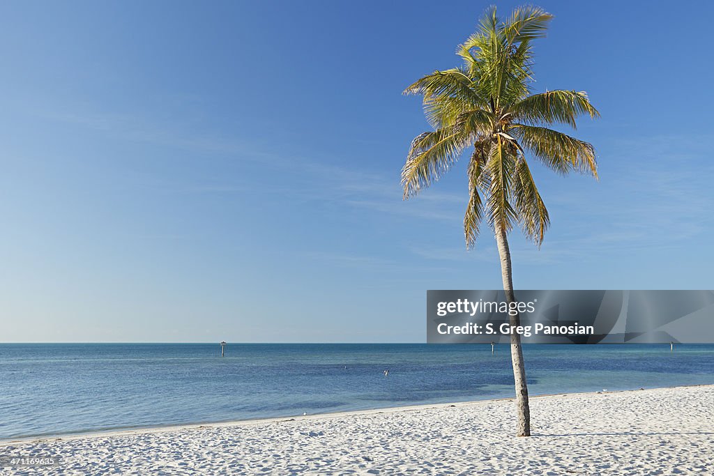 Key West Landscape