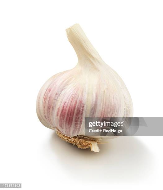 knoblauch single - knoblauch stock-fotos und bilder