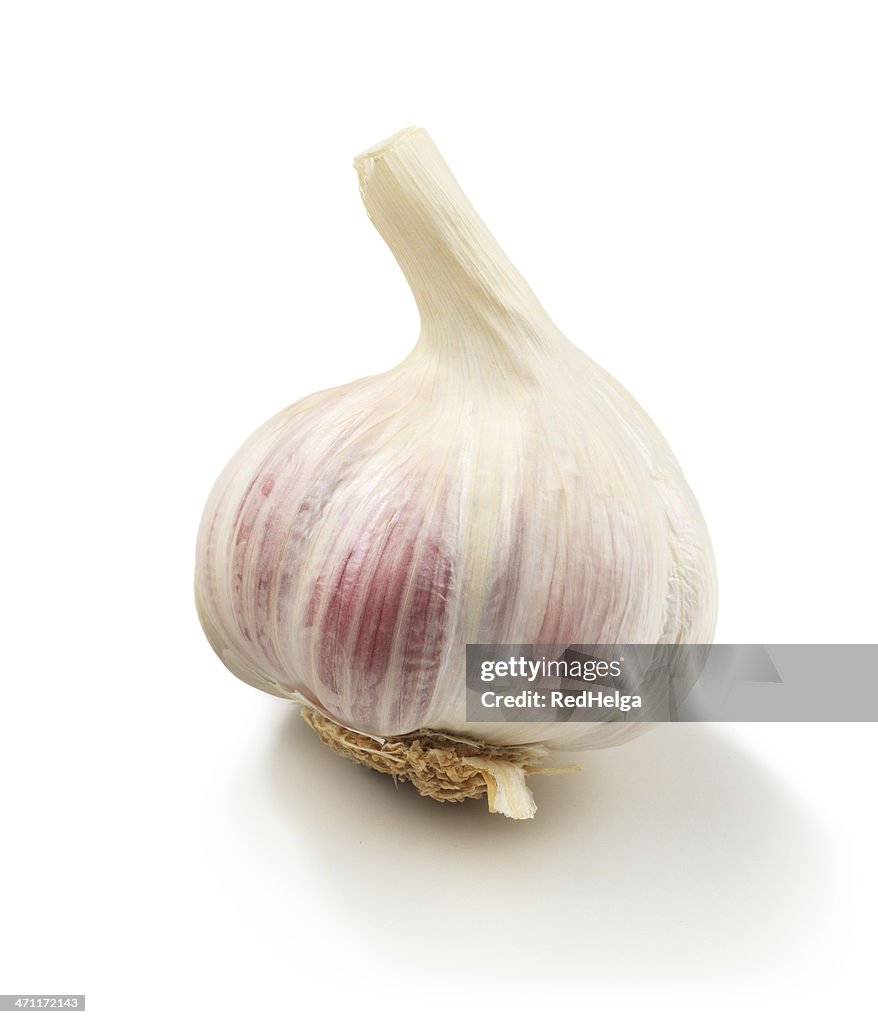 Garlic single